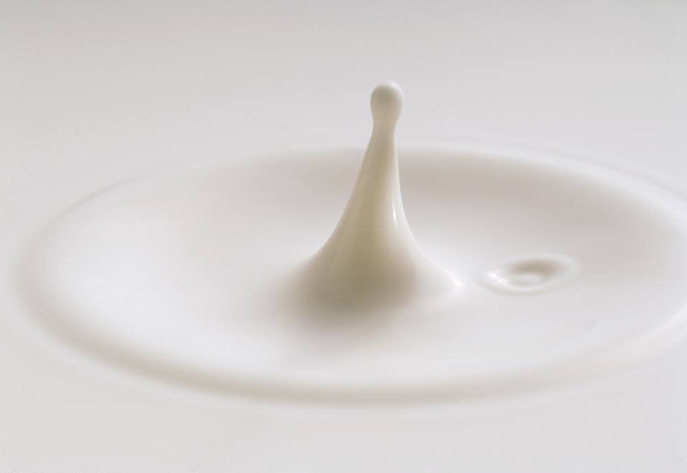 沒想到啊！中國乳企集體踏空后能神反轉(zhuǎn)嗎？